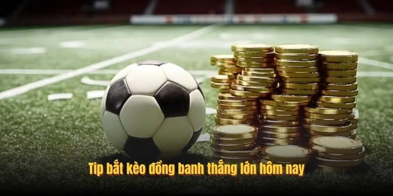 Cách đặt cược kèo đồng banh hiệu quả cho người mới bắt đầu