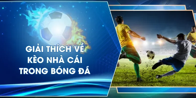 Yếu tố quan trọng trong cá cược bóng đá
