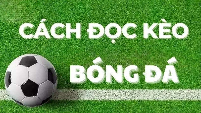 tại sao nên chọn kèo trê